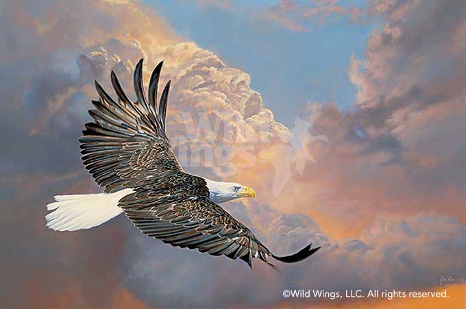 680x451 The Majestic Bald Eagle Original Acrylic Painting Wild Wings - Bald Eagle Painting