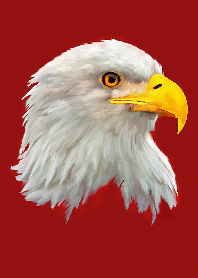 642x900 Bald Eagle Painting Painting By Bob And Nadine Johnston - Bald Eagle Painting