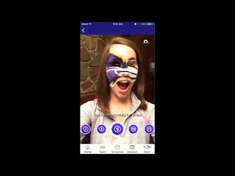 480x360 Baltimore Ravens Virtual Face Painting - Baltimore Ravens Painting