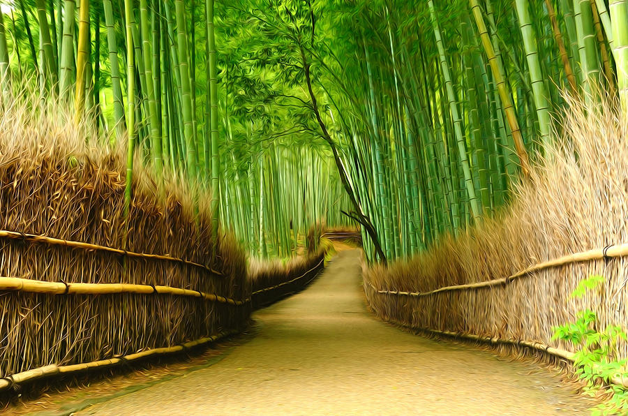 900x596 Famous Bamboo Grove At Arashiyama Painting By Jeelan Clark - Bamboo Forest Painting