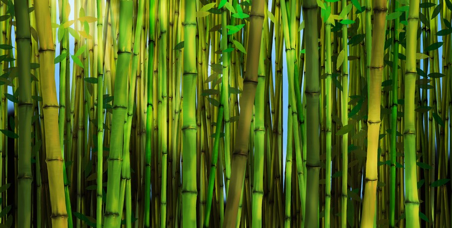 900x455 Bamboo Forest (Miller) Mural - Bamboo Forest Painting