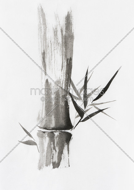 437x620 Stock Illustration Bamboo Stalk Sumi E Oriental Zen Painting - Bamboo Painting Black And White