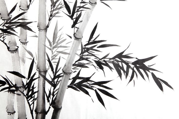 736x490 Httpss Media Cache - Bamboo Painting Black And White