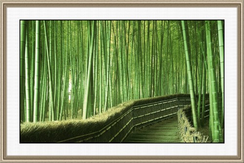 500x333 Bamboo Painting As Per Vastu - Bamboo Painting Images