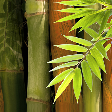 395x393 Bamboo Bamboo Leaves Canvas Art Prints And Tiles By Jacobson - Bamboo Painting On Canvas