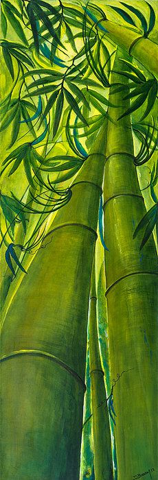 230x700 Bambou Bamboo Watercolor, Art Studios And Paintings - Bamboo Tree Painting