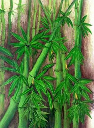 300x409 Paintings - Bamboo Tree Painting
