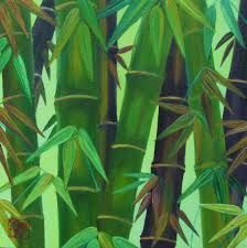 224x225 The 339 Best Bambu. Images On Bamboo, Art Ideas - Bamboo Tree Painting