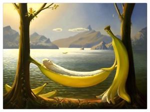 300x224 Vladimir Kushbanana Hammockquothd Print Art Home Deco Painting - Banana Hammock Painting