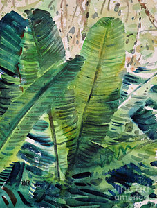 227x300 Banana Leaves Painting By Donald Maier - Banana Leaf Painting
