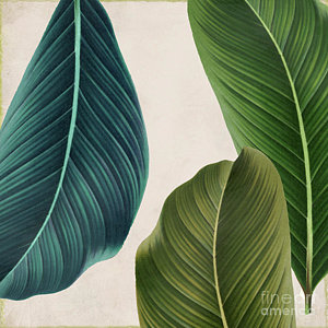 300x300 Banana Leaves Paintings Fine Art America - Banana Leaf Painting