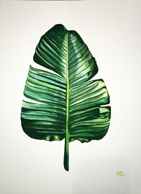 570x783 Custom Tropical Leaf Painting Gouache On Paper - Banana Leaf Painting