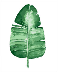 240x300 Paint By Number Diy Acrylic Painting On Canvas 16x20 Green Banana - Banana Leaf Painting