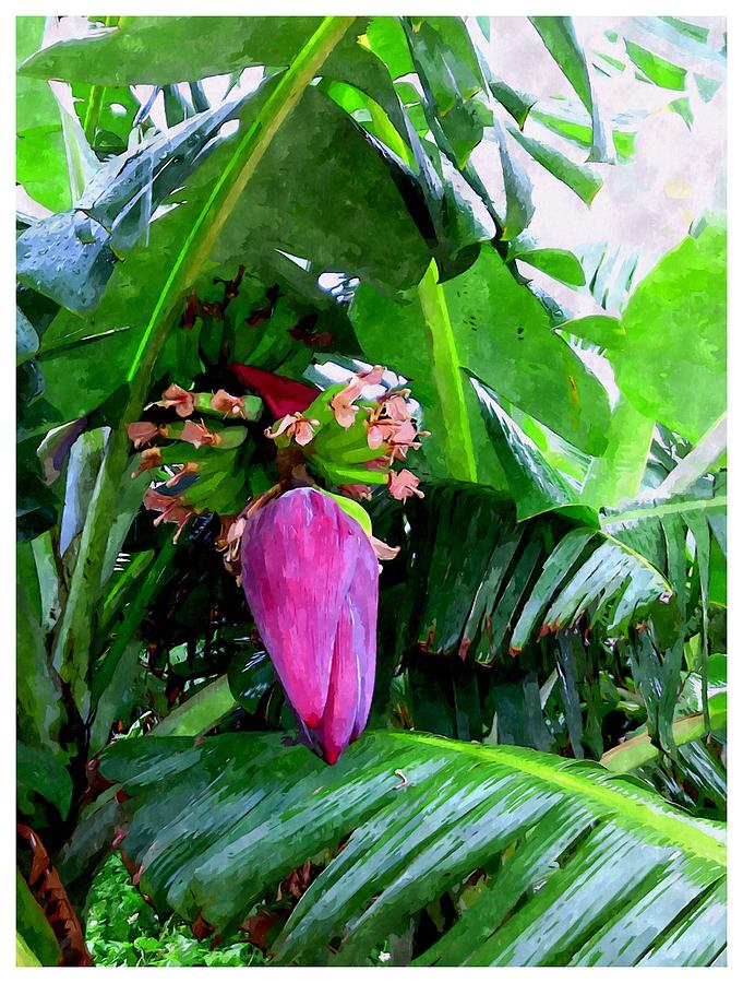 681x900 Red Flower Of A Banana Against Green Leaves Painting By Jeelan Clark - Banana Leaf Painting