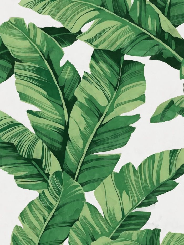 700x933 Tropical Banana Leaves Art Print By Catyarte. Worldwide Shipping - Banana Leaf Painting