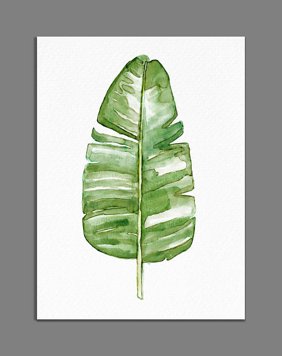 570x720 Watercolor Banana Leaf Painting Minimalist Leaves Print - Banana Leaf Painting