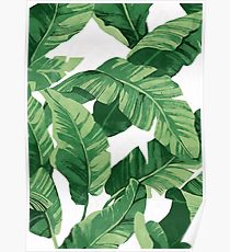 210x230 Banana Leaf Posters Redbubble - Banana Leaf Painting