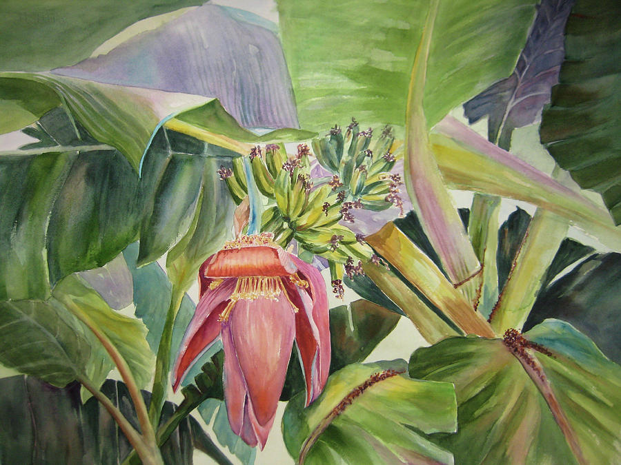 900x675 Lady Fingers - Banana Tree Painting