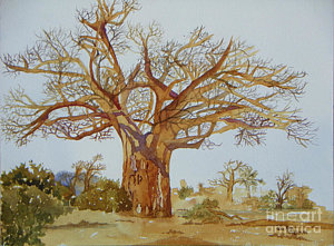300x221 Baobab Tree Paintings - Baobab Tree Painting