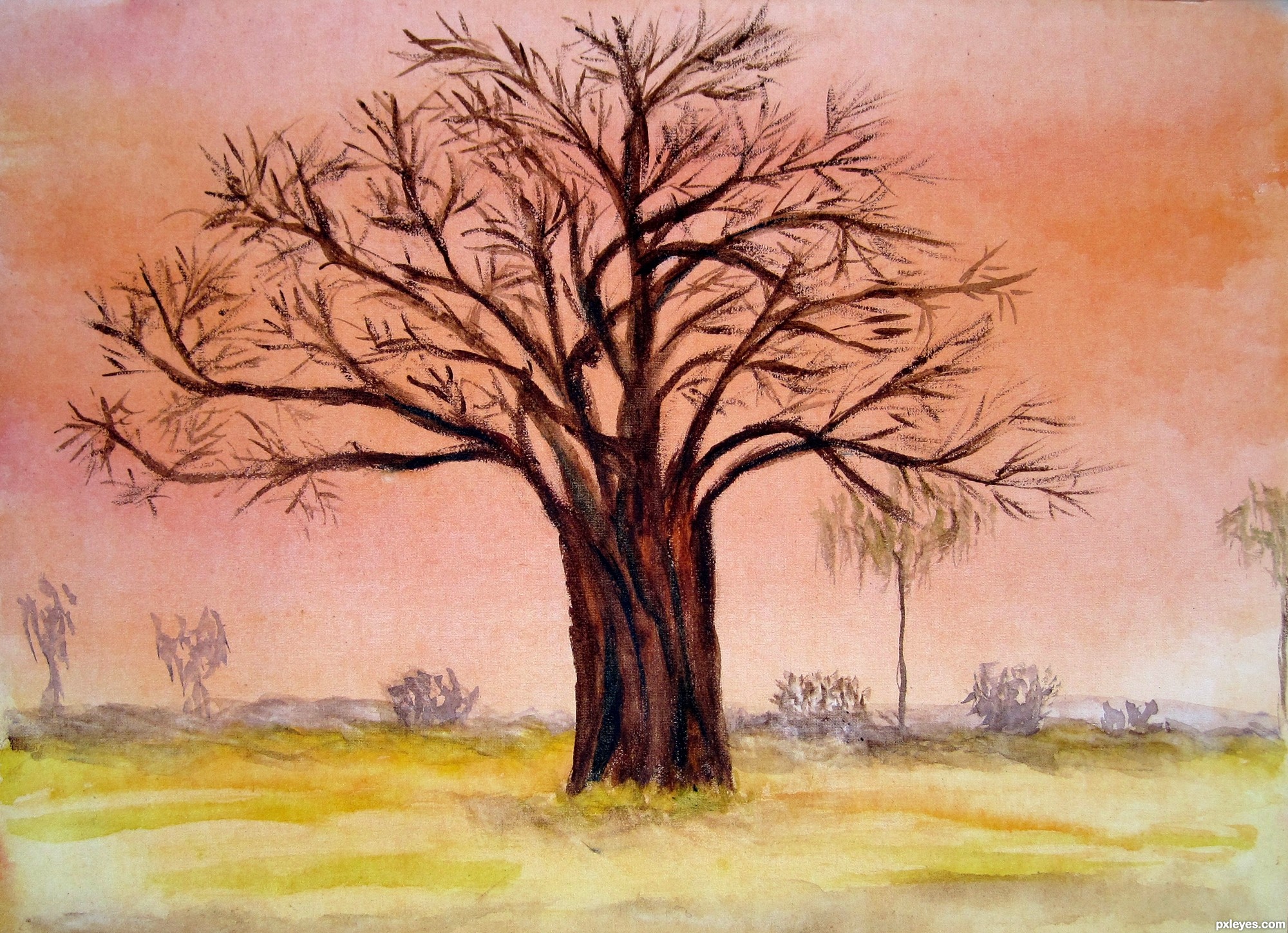 2000x1448 Baobab Tree Picture, By Friiskiwi For Africa Drawing Contest - Baobab Tree Painting