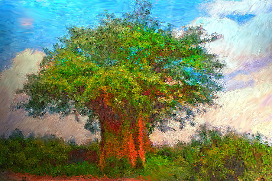 900x600 The Old Baobab Tree Painting By Michael Durst - Baobab Tree Painting