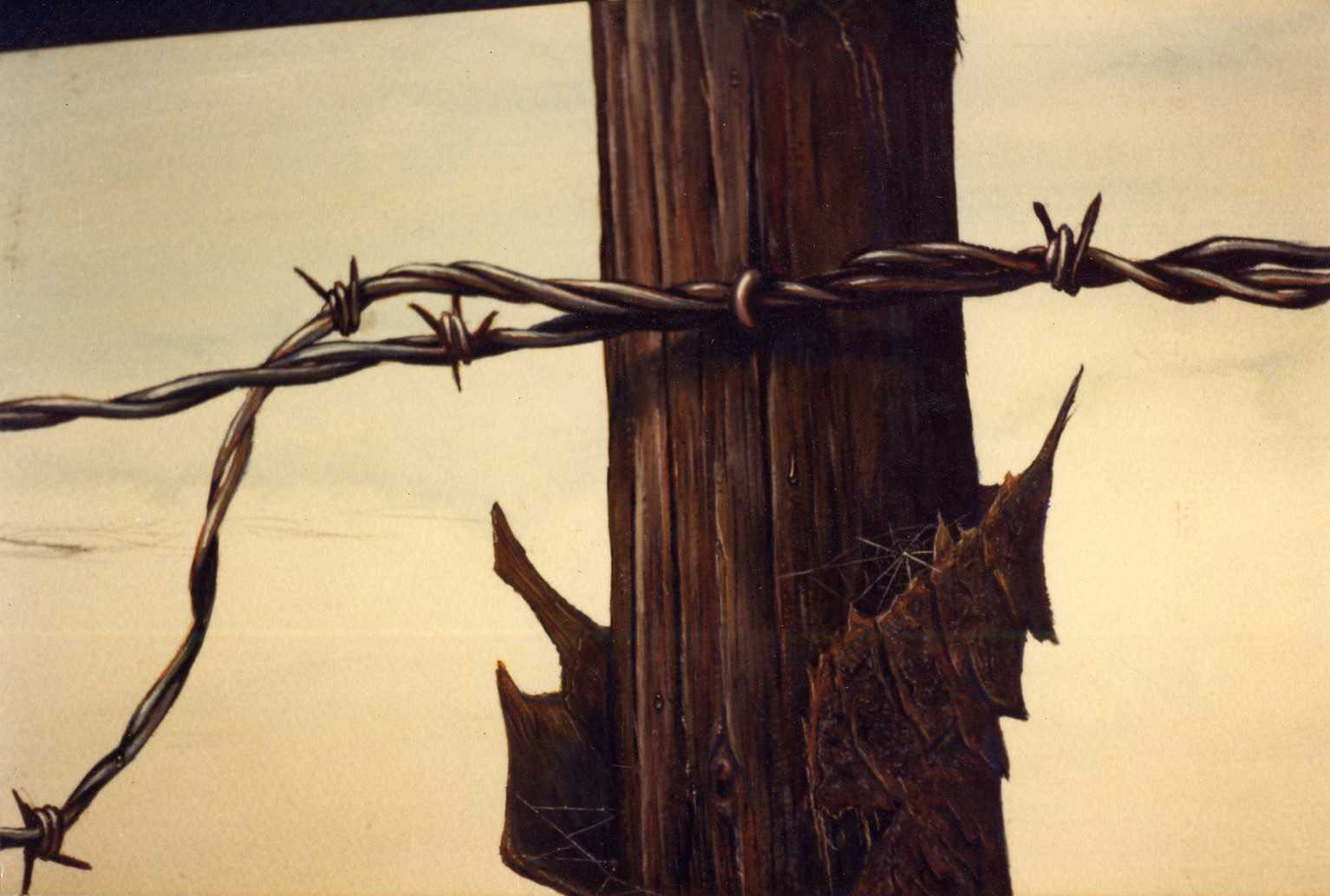 Barbed Wire Painting at Explore collection of