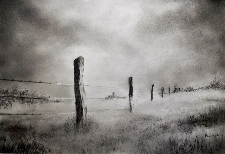 900x615 Image Result For Paintings Of Barbed Wire Fences Boundaries - Barbed Wire Painting