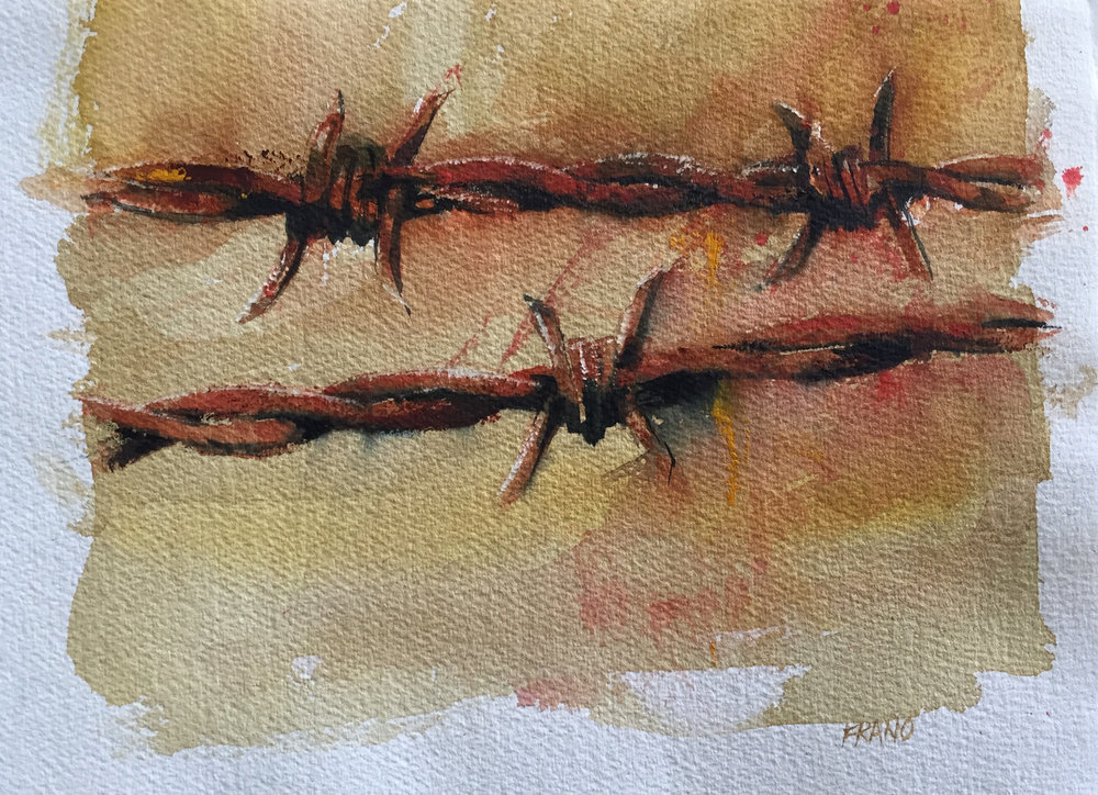 1000x724 Outback Frano Australian Artist, Watercolour Amp Oil Paintings - Barbed Wire Painting