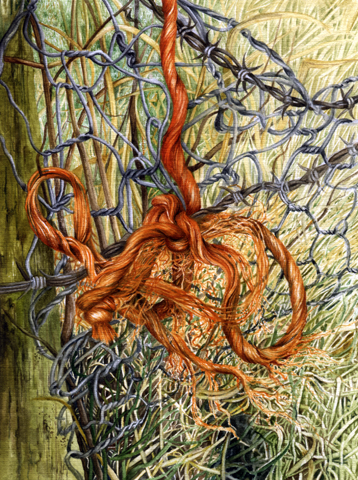 358x480 Tangle - Barbed Wire Painting