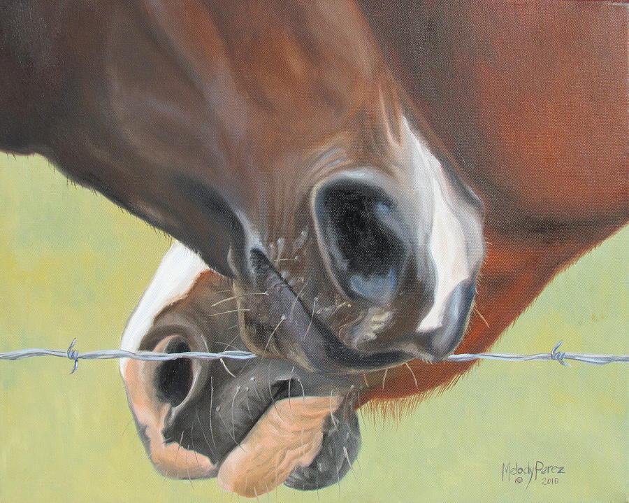 900x719 Velvet And Barbed Wire Painting By Melody Perez - Barbed Wire Painting