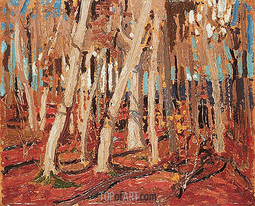 500x404 Maple Woods, Bare Trunks Tom Thomson Painting Reproduction - Bare Painting