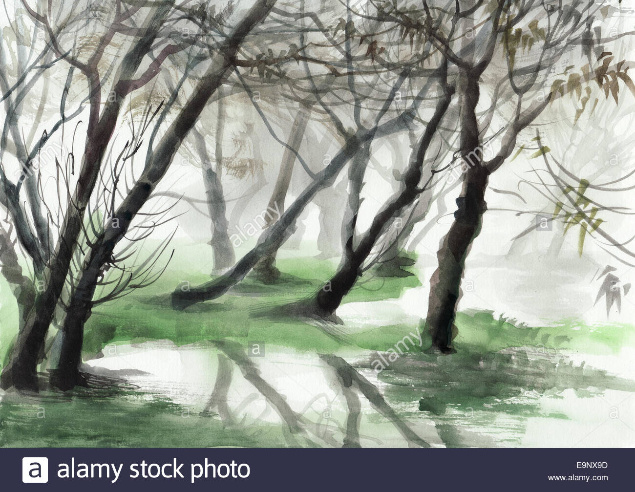 1300x1007 Misty Forest With Bare Trees And Still Water. Original Watercolor - Bare Tree Painting