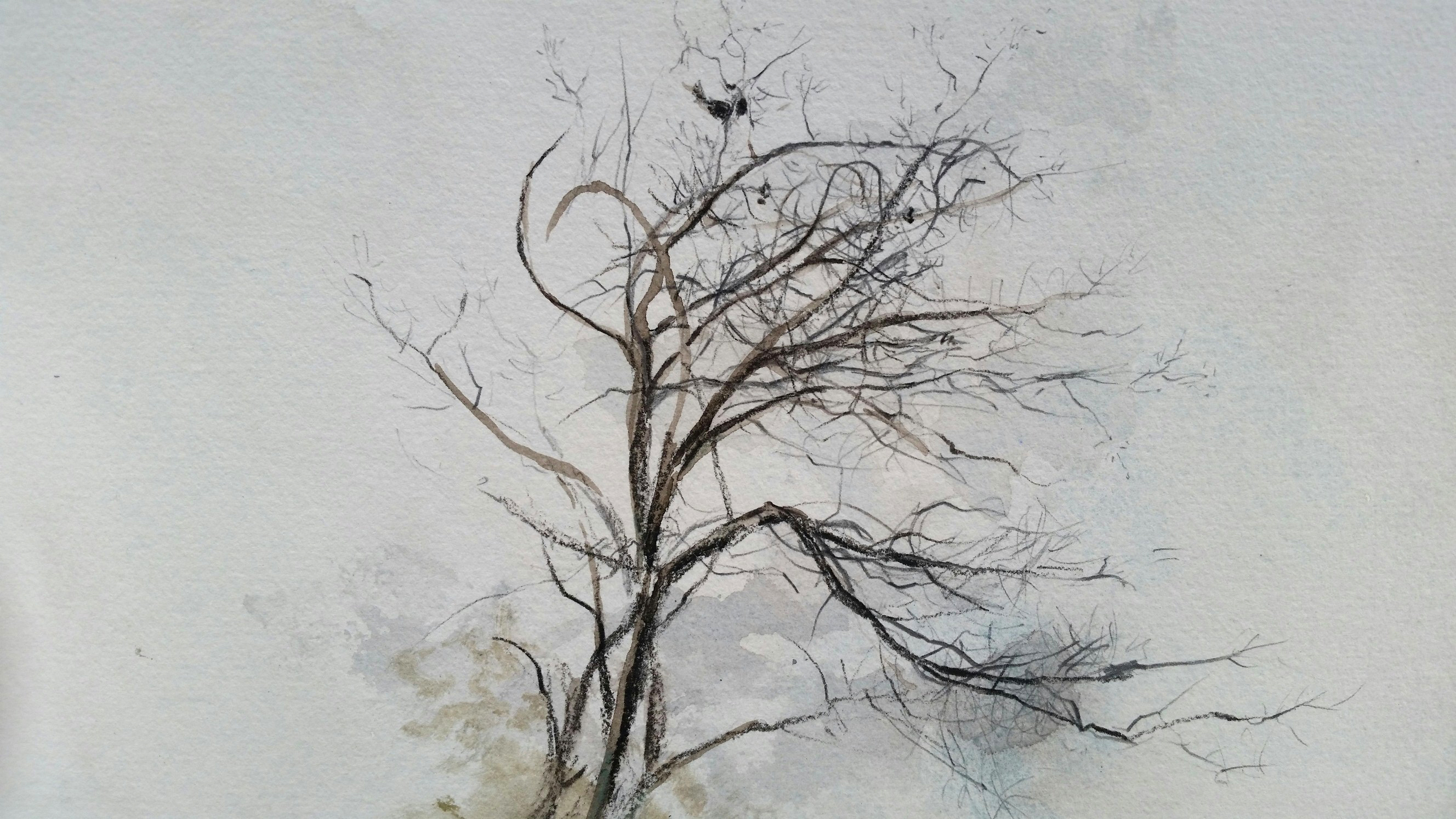2656x1494 Plein Air Painting And Thoughts From An Ancient Chinese Canon - Bare Tree Painting