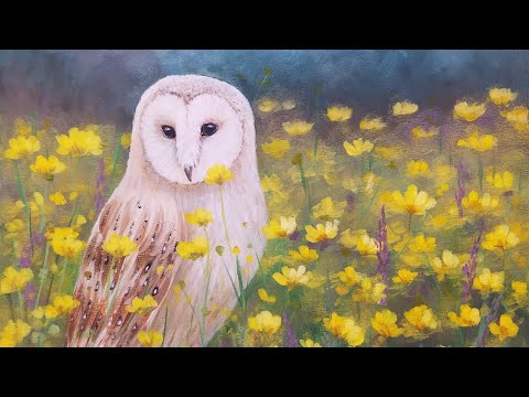 480x360 Barn Owl Acrylic Painting Tutorial Realistic Step By Step Live - Barn Owl Painting