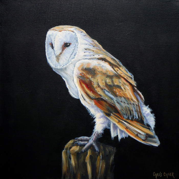 700x701 Barn Owl Oil Painting - Barn Owl Painting