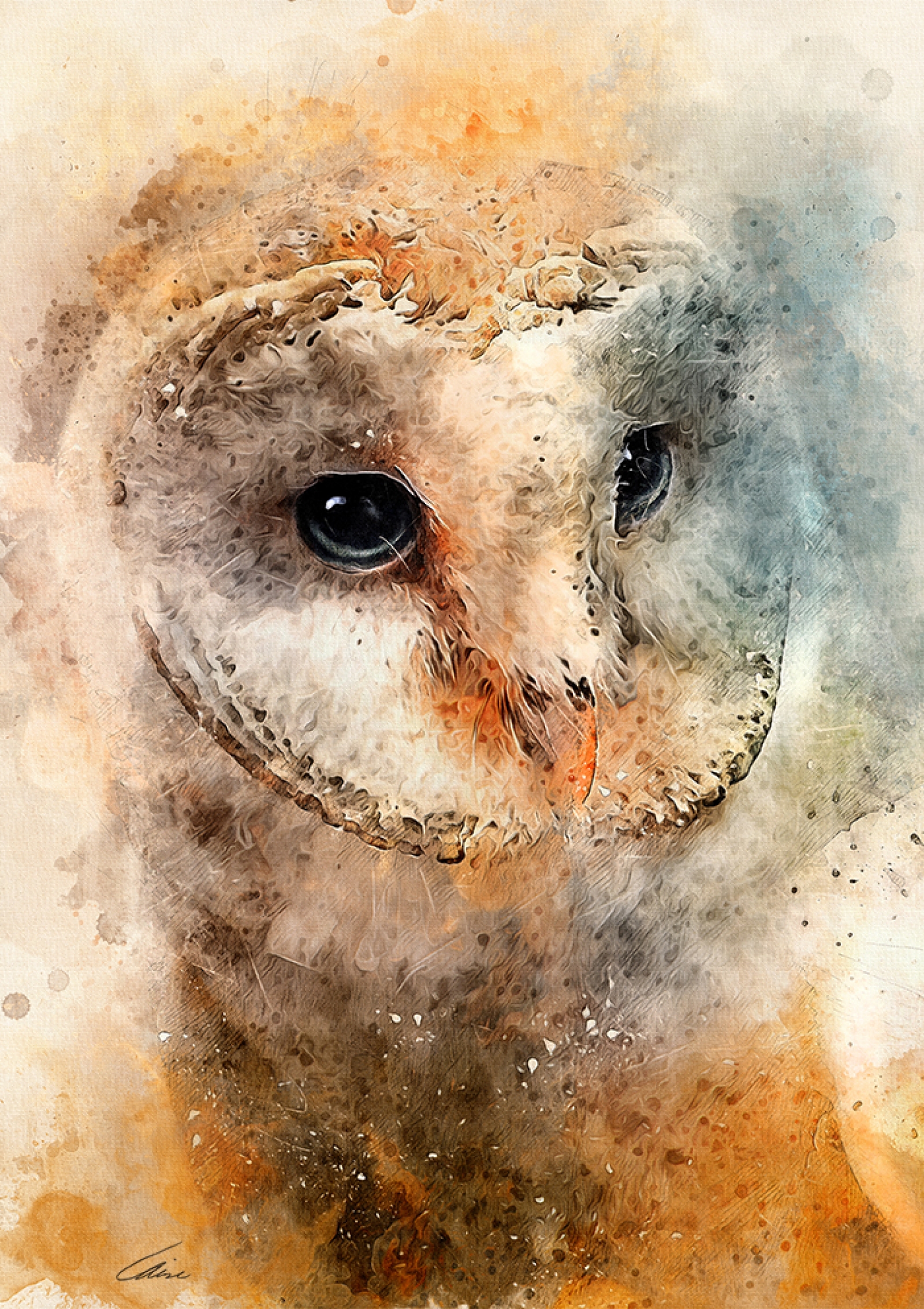 1600x2267 Barn Owl Portrait - Barn Owl Painting