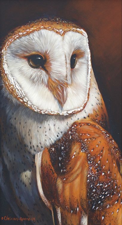 409x750 Carol Heiman Greene (Acrylic Painting) - Barn Owl Painting