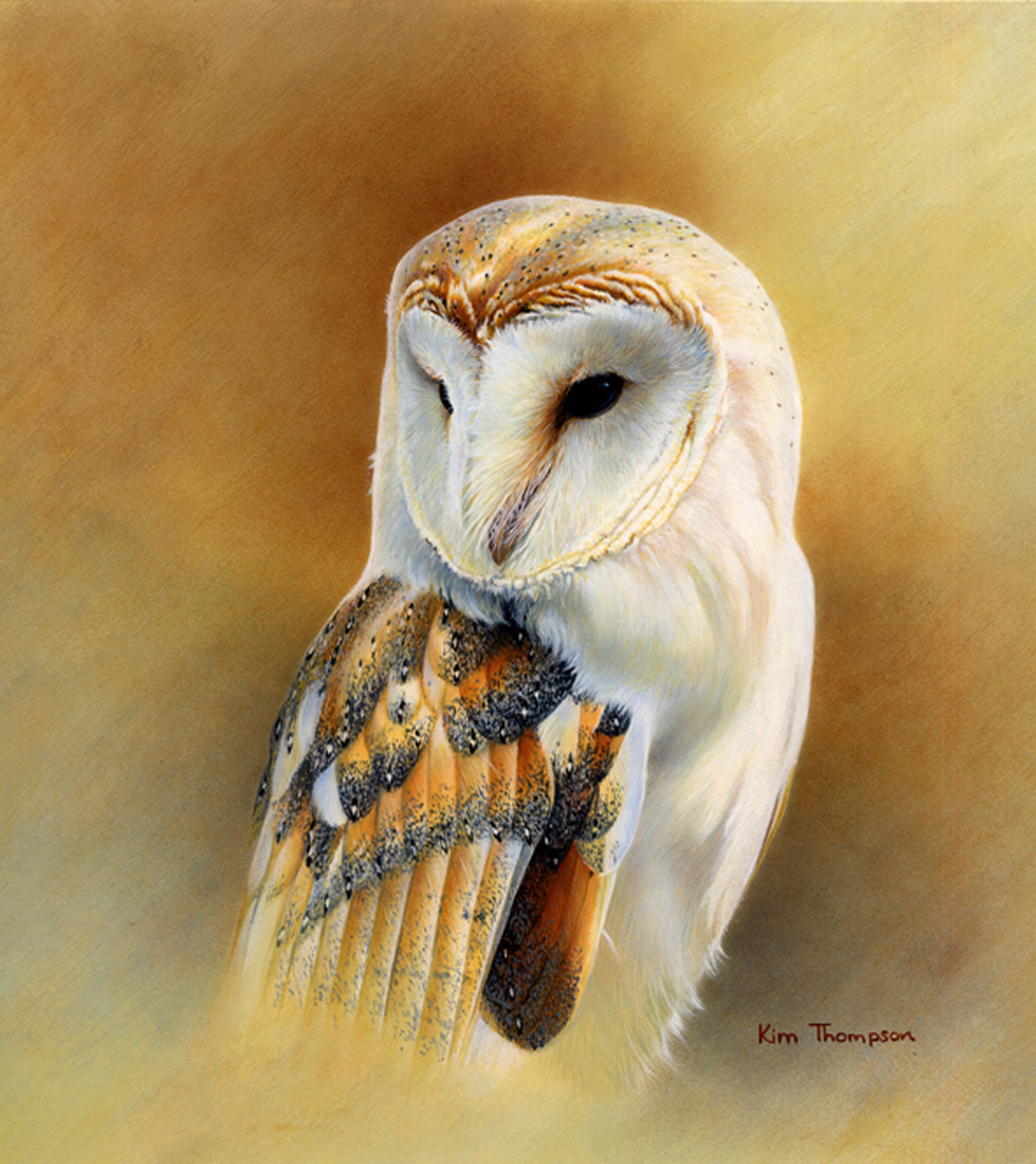 1200x1348 Index Of Imagespainting - Barn Owl Painting
