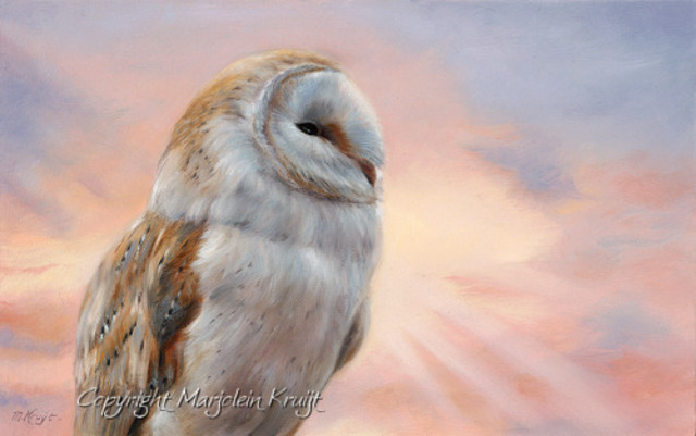 640x401 Marjolein Kruijt Artwork Barn Owl Original Painting Oil - Barn Owl Painting