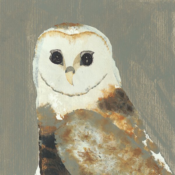 600x600 Art Group Barn Owl' Painting Print Amp Reviews Wayfair.co.uk - Barn Owl Painting