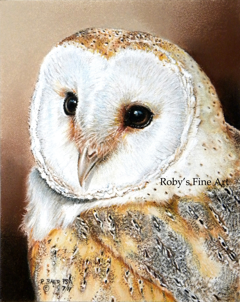 796x1000 Barn Owl' - Barn Owl Painting