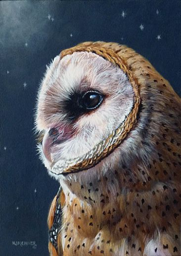366x518 Barn Owl - Barn Owl Painting