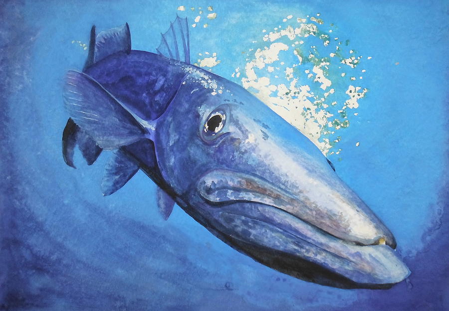 900x624 Barracuda Painting By Hugh O'Connor - Barracuda Painting