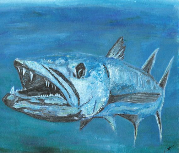 570x490 Barracuda Acrylic Painting Print - Barracuda Painting