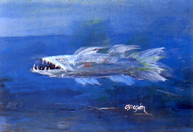 640x440 Barracuda Con Fondo Azul By Alejandro On Artnet - Barracuda Painting