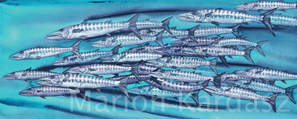 600x240 Marion Kardasz - Barracuda Painting