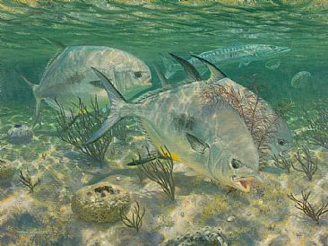 366x274 Permit Amp Barracuda - Barracuda Painting