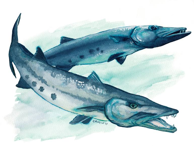 770x578 Saatchi Art Great Barracuda Painting By Roland Henrion - Barracuda Painting