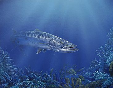 366x285 Barracuda - Barracuda Painting