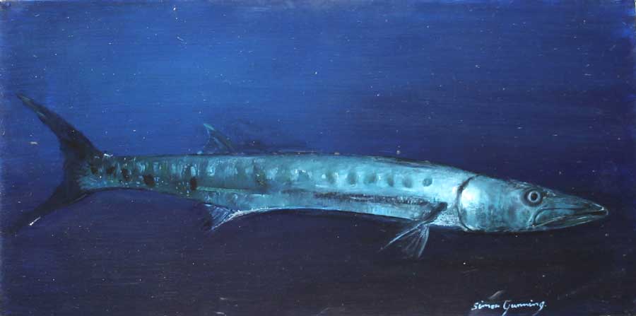 900x447 Simon Gunning - Barracuda Painting